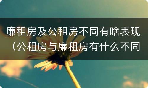 廉租房及公租房不同有啥表现（公租房与廉租房有什么不同）