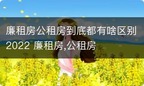 廉租房公租房到底都有啥区别2022 廉租房,公租房