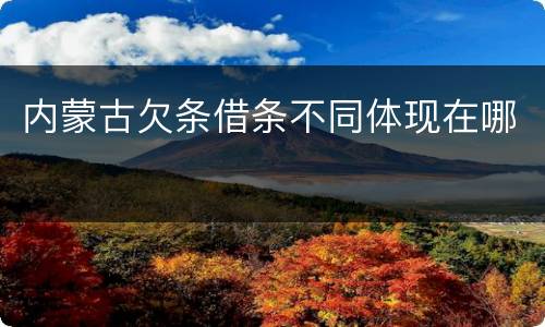 内蒙古欠条借条不同体现在哪