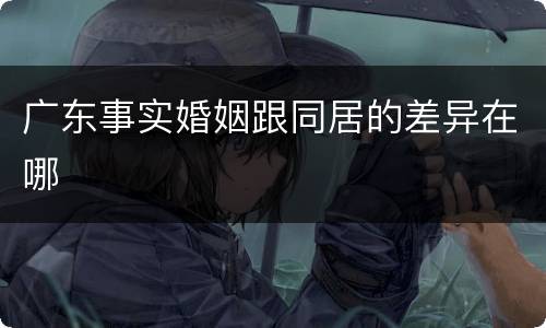 广东事实婚姻跟同居的差异在哪