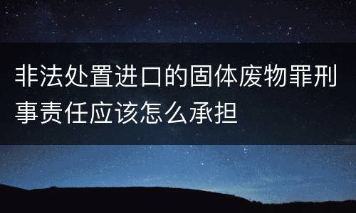 非法处置进口的固体废物罪刑事责任应该怎么承担
