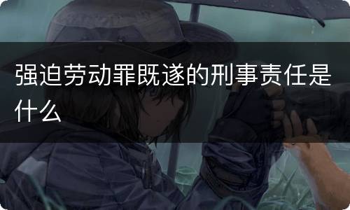 强迫劳动罪既遂的刑事责任是什么