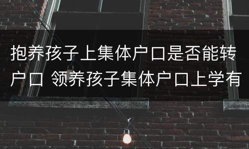抱养孩子上集体户口是否能转户口 领养孩子集体户口上学有影响吗