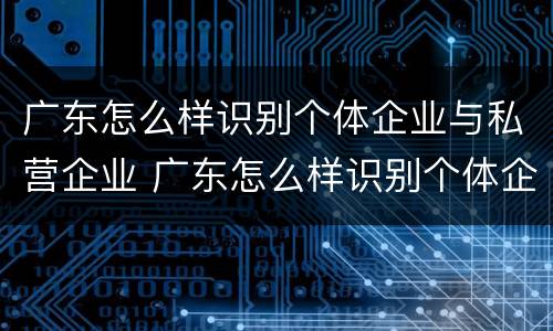 广东怎么样识别个体企业与私营企业 广东怎么样识别个体企业与私营企业合作