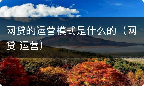 网贷的运营模式是什么的（网贷 运营）