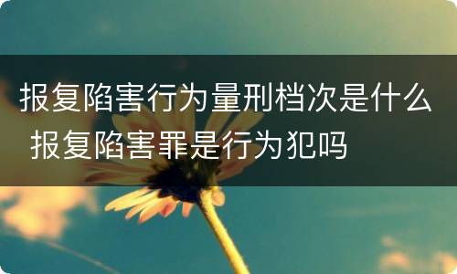 报复陷害行为量刑档次是什么 报复陷害罪是行为犯吗