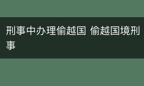 刑事中办理偷越国 偷越国境刑事