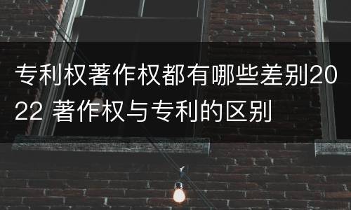 专利权著作权都有哪些差别2022 著作权与专利的区别