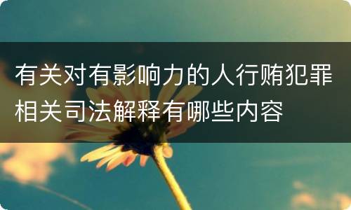 有关对有影响力的人行贿犯罪相关司法解释有哪些内容