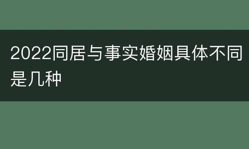 2022同居与事实婚姻具体不同是几种