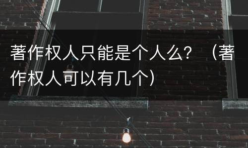 著作权人只能是个人么？（著作权人可以有几个）