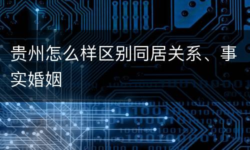 贵州怎么样区别同居关系、事实婚姻
