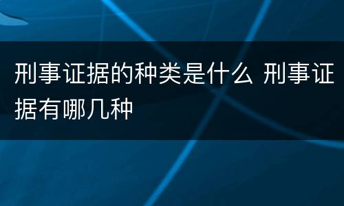 刑事证据的种类是什么 刑事证据有哪几种