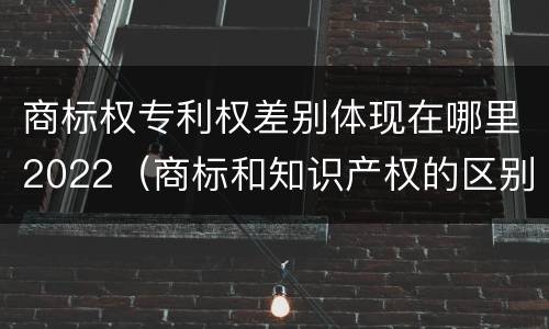 商标权专利权差别体现在哪里2022（商标和知识产权的区别）