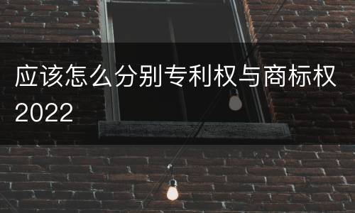 应该怎么分别专利权与商标权2022