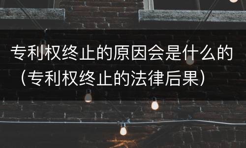 专利权终止的原因会是什么的（专利权终止的法律后果）