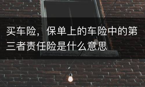 买车险，保单上的车险中的第三者责任险是什么意思