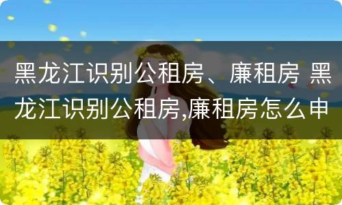 黑龙江识别公租房、廉租房 黑龙江识别公租房,廉租房怎么申请