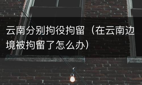 云南分别拘役拘留（在云南边境被拘留了怎么办）