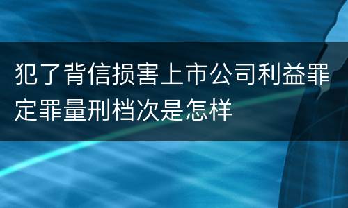 犯了背信损害上市公司利益罪定罪量刑档次是怎样