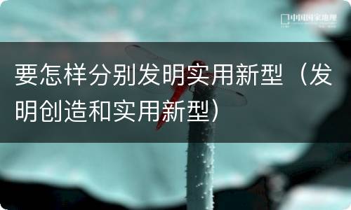 要怎样分别发明实用新型（发明创造和实用新型）