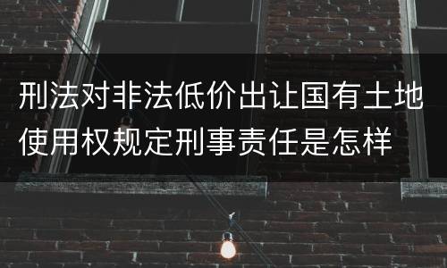 刑法对非法低价出让国有土地使用权规定刑事责任是怎样