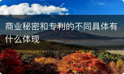 商业秘密和专利的不同具体有什么体现