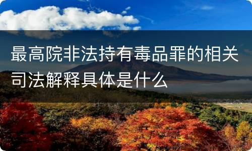 最高院非法持有毒品罪的相关司法解释具体是什么