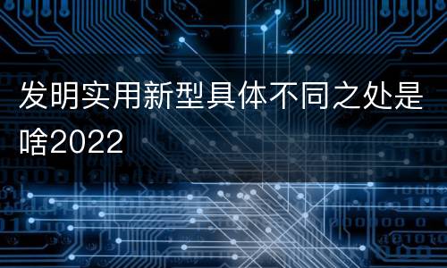 发明实用新型具体不同之处是啥2022