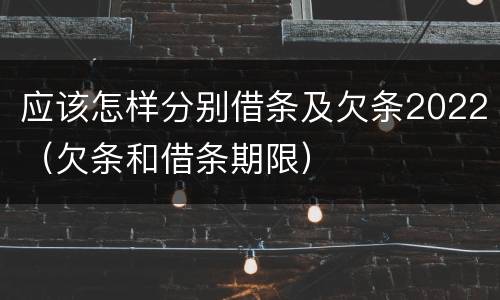 应该怎样分别借条及欠条2022（欠条和借条期限）