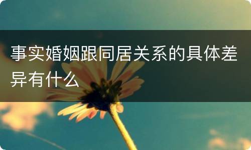 事实婚姻跟同居关系的具体差异有什么