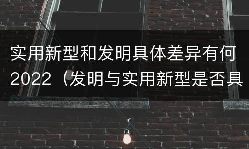 实用新型和发明具体差异有何2022（发明与实用新型是否具有实用性）