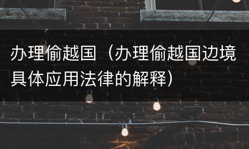 办理偷越国（办理偷越国边境具体应用法律的解释）