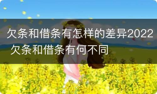 欠条和借条有怎样的差异2022 欠条和借条有何不同