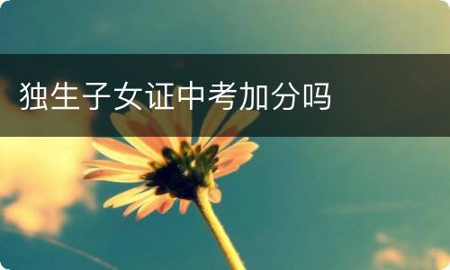 独生子女证中考加分吗