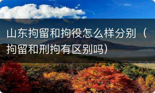 山东拘留和拘役怎么样分别（拘留和刑拘有区别吗）