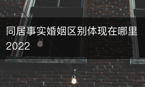 同居事实婚姻区别体现在哪里2022