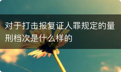 对于打击报复证人罪规定的量刑档次是什么样的