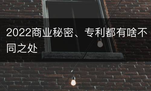 2022商业秘密、专利都有啥不同之处