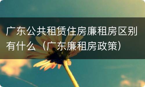广东公共租赁住房廉租房区别有什么（广东廉租房政策）