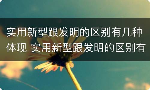 实用新型跟发明的区别有几种体现 实用新型跟发明的区别有几种体现在哪里