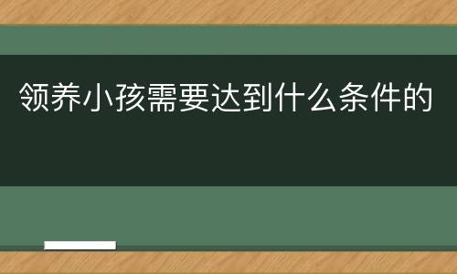 领养小孩需要达到什么条件的