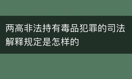 两高非法持有毒品犯罪的司法解释规定是怎样的