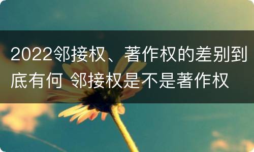 2022邻接权、著作权的差别到底有何 邻接权是不是著作权
