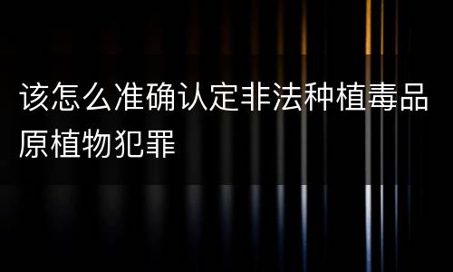 该怎么准确认定非法种植毒品原植物犯罪