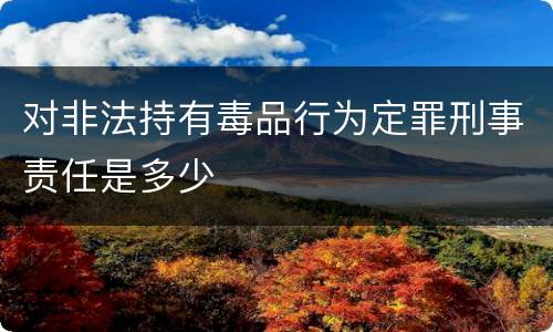 对非法持有毒品行为定罪刑事责任是多少