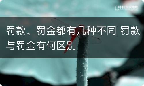 罚款、罚金都有几种不同 罚款与罚金有何区别