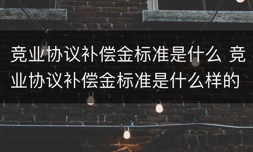 竞业协议补偿金标准是什么 竞业协议补偿金标准是什么样的
