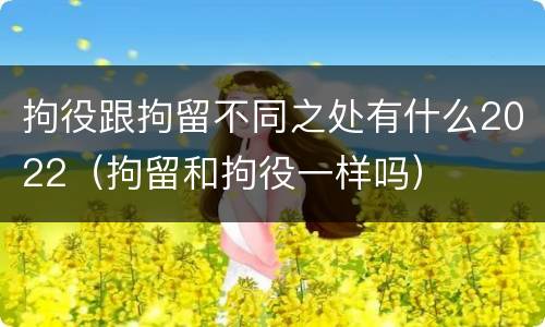 拘役跟拘留不同之处有什么2022（拘留和拘役一样吗）