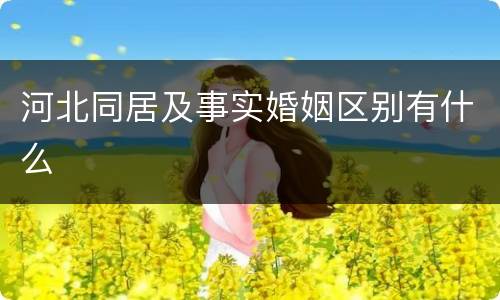 河北同居及事实婚姻区别有什么